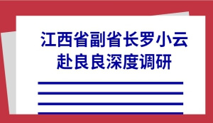 2024新澳网门票官方网站记住网址